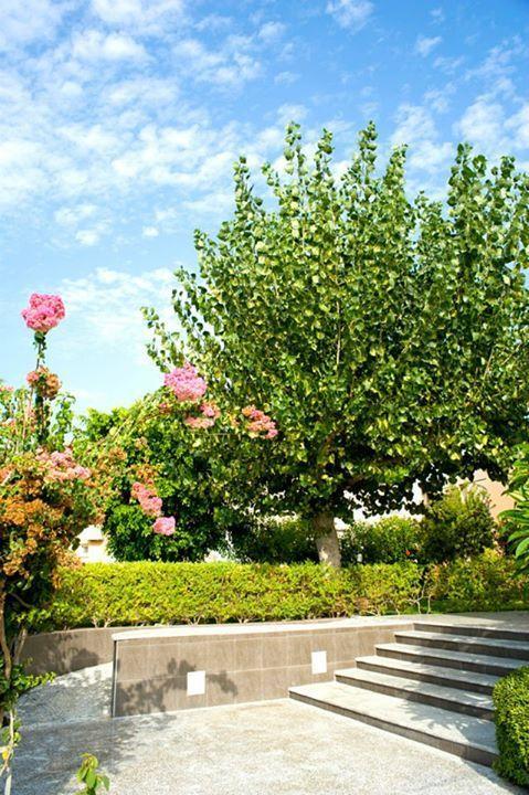 Alfa Hotel Apartments Gerani  Exterior foto